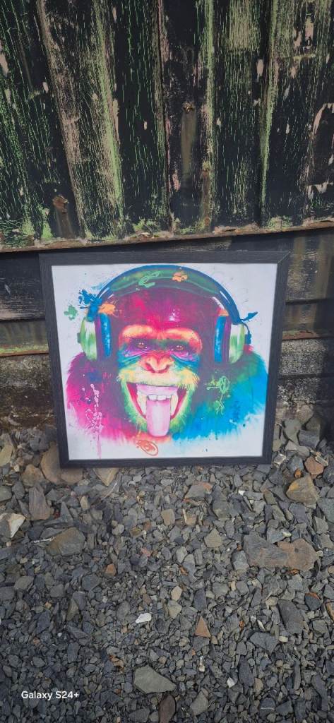 Colourful Monkey with Headphones Framed Picture