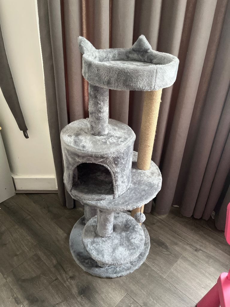 Kitten bed 