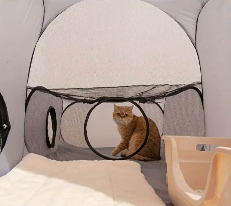 Cat bed swinging hammock £25, Cat play tent £15 