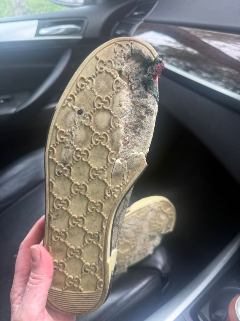 Sole searcher