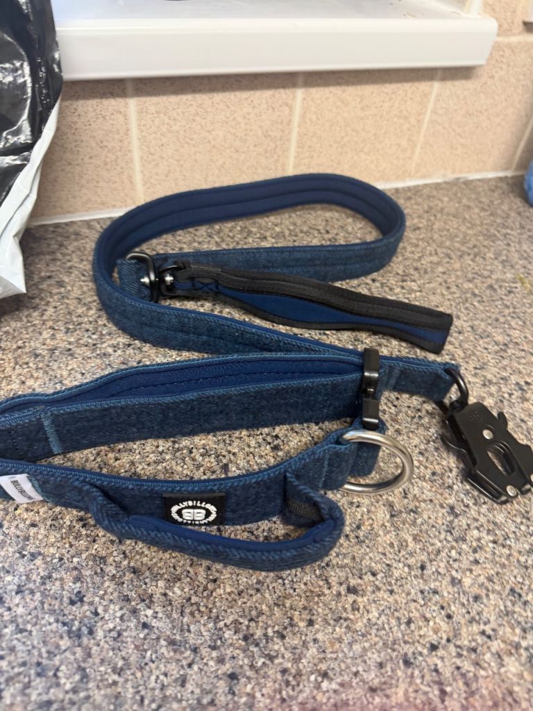 Bully billows collar and lead set 