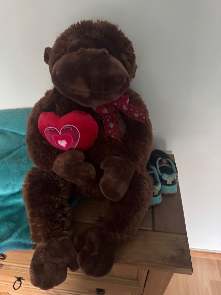 Teddy bear