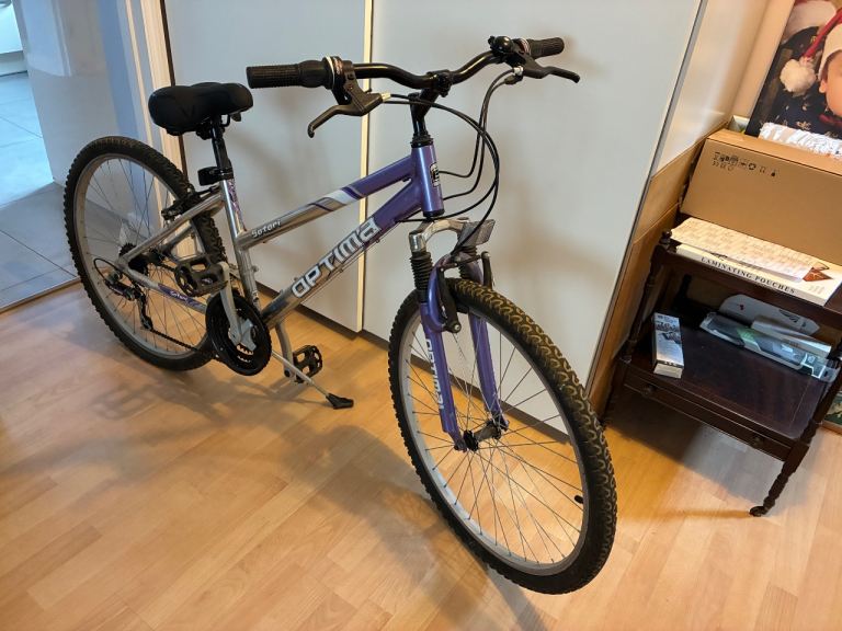 Woman’s, ladies, female, bicycle. With 26 “ wheels 