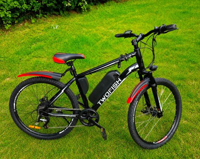 TWORUSH Electric pedal-assisted 