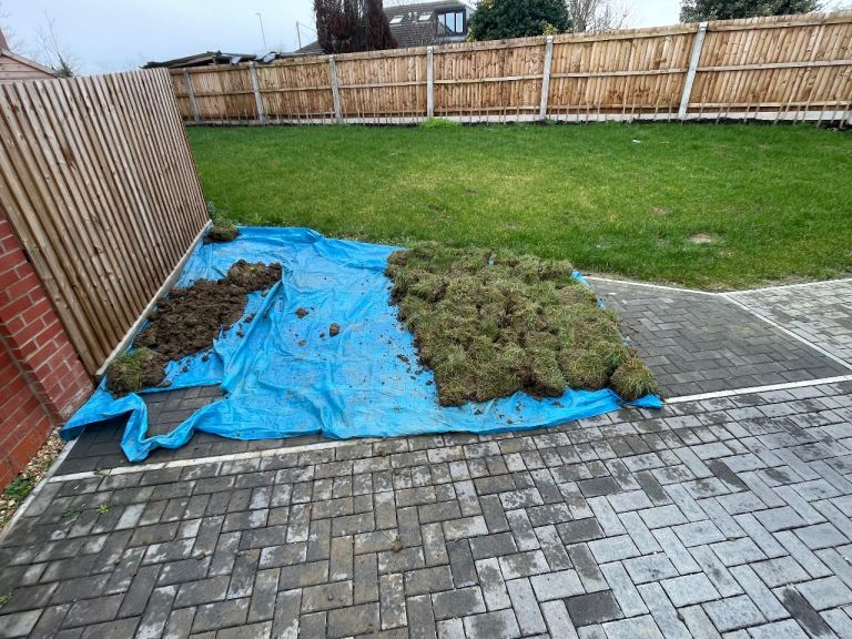 Garden turf