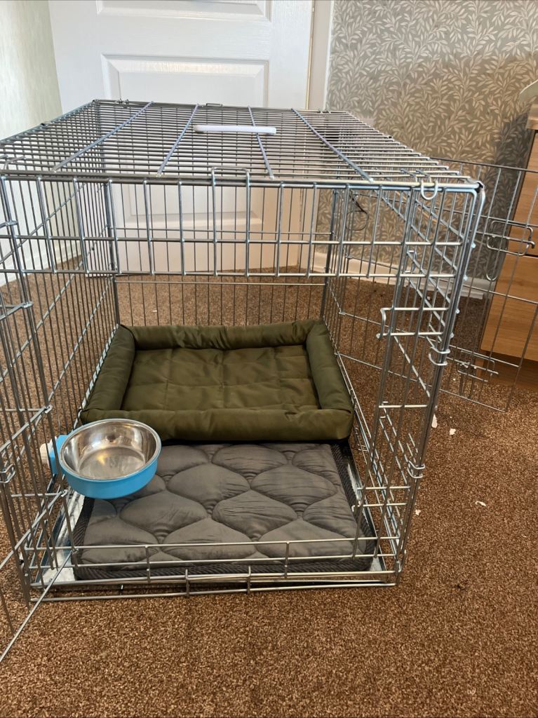Dog Crate (medium), Tray, Pad, Bed and Water bowl. 