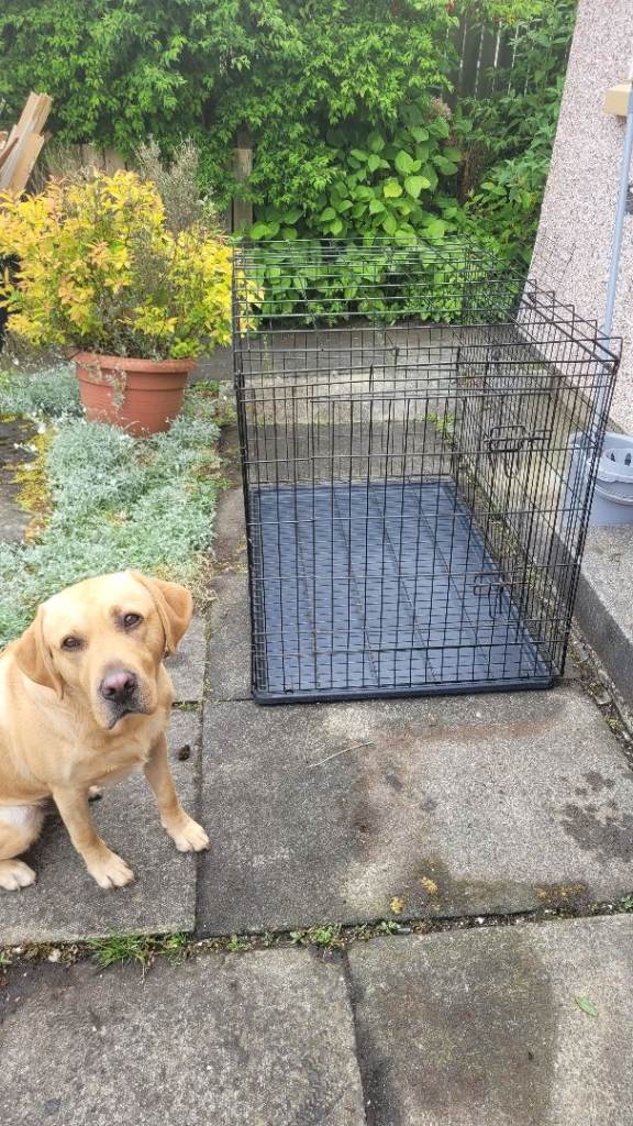 3XL Dog crate