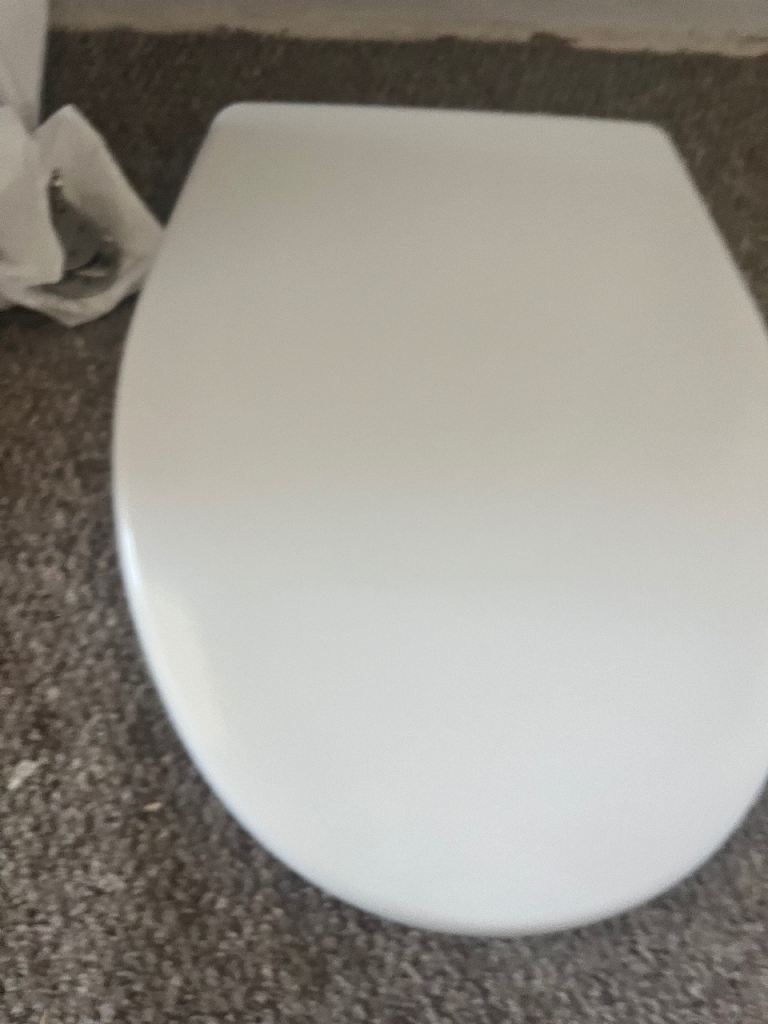 Toilet seat - sells for £32 in wickes