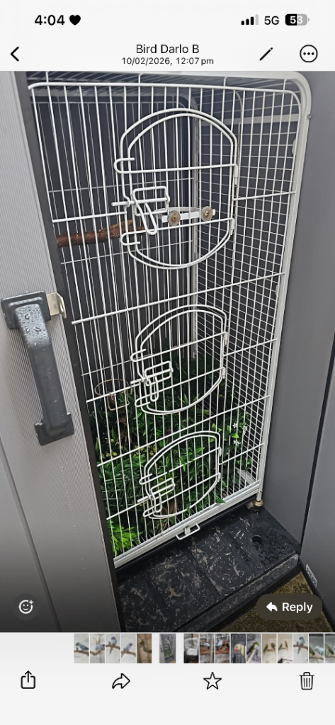 Parrot / bird cage 