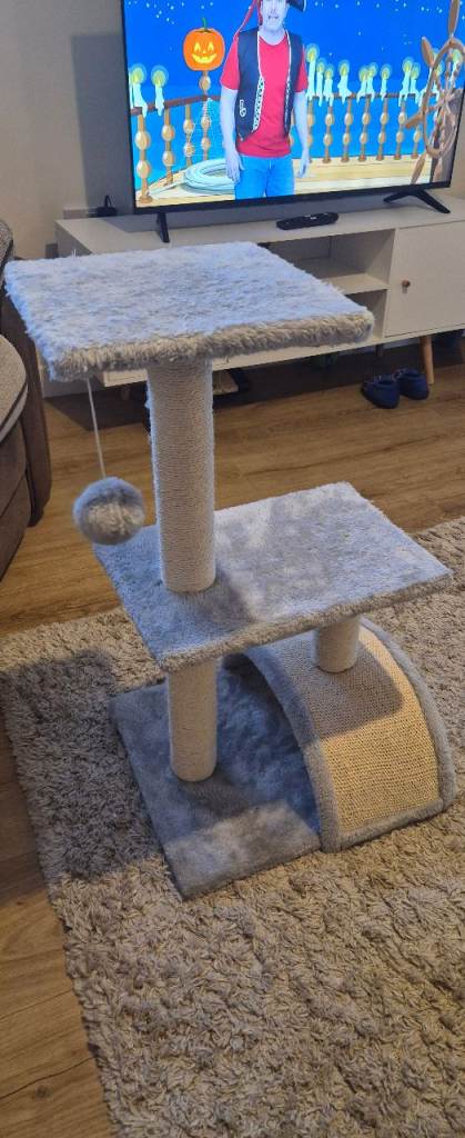 Cat scratch post vvgc
