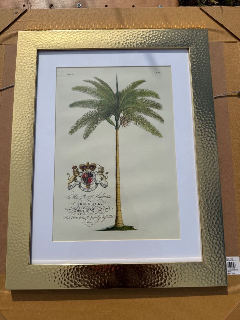 Framed Palm Tree Botanical Print in Gold Frame