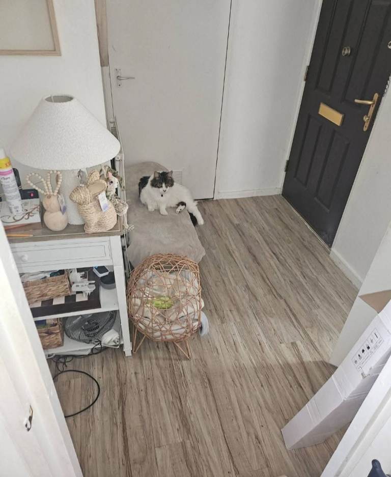 My 1Bed grd Flr flat for 3bed grd flr with garden