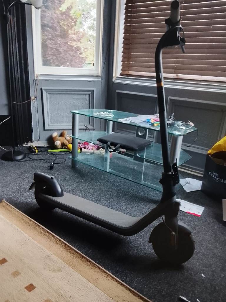 Ninebot Electric Scooter with charger- Good Condition