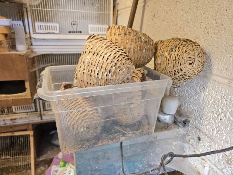 Finch Nest Baskets