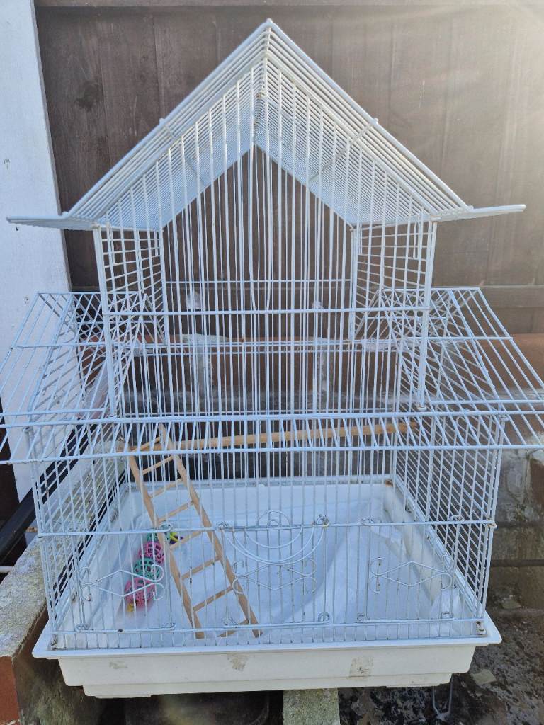 Bird Cages with Accessories For Sale 