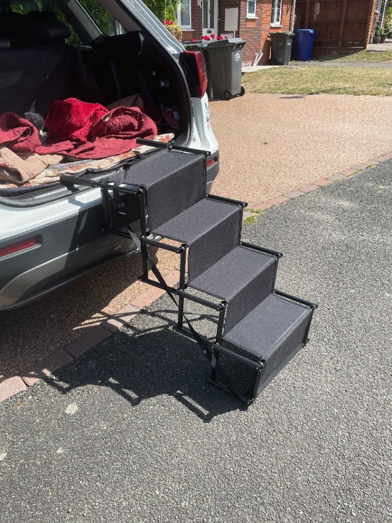 Dog steps 