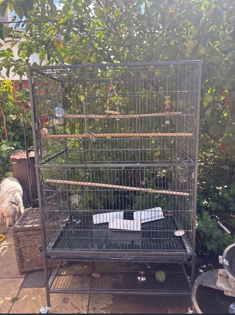 Bird cage