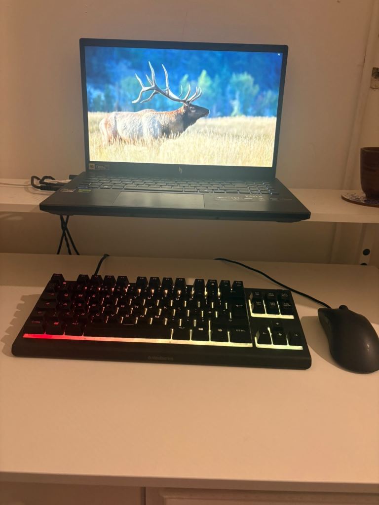 Acer Nitro V 15 15.6in Ryzen 7 GeForce RTX DDR5
