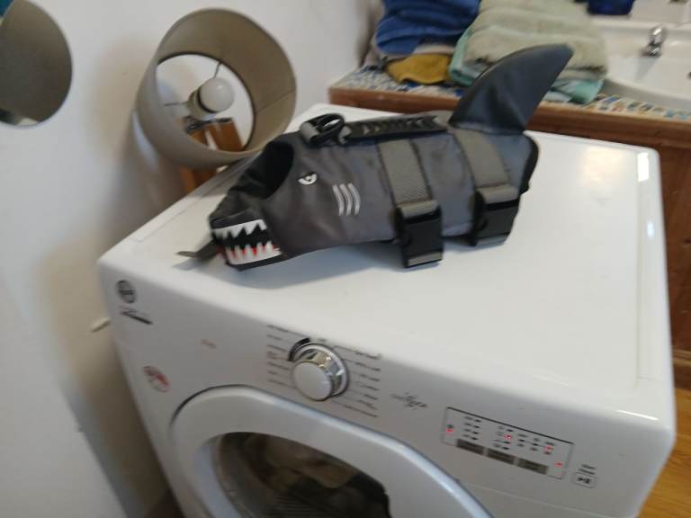 Life jacket for dogs 