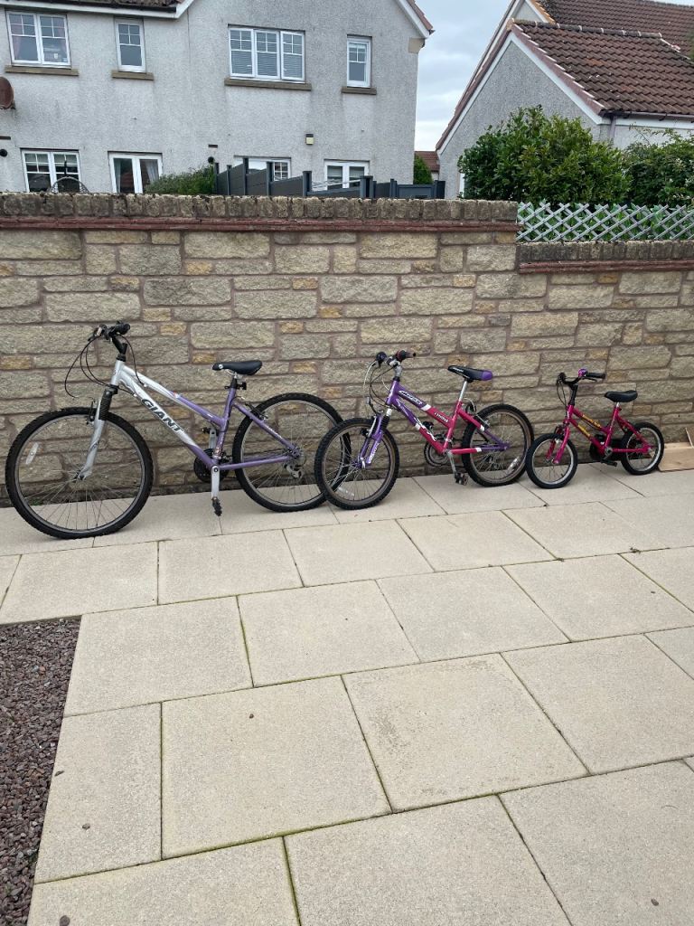 Kids Bikes Bundle - Giant and other brands, good condition