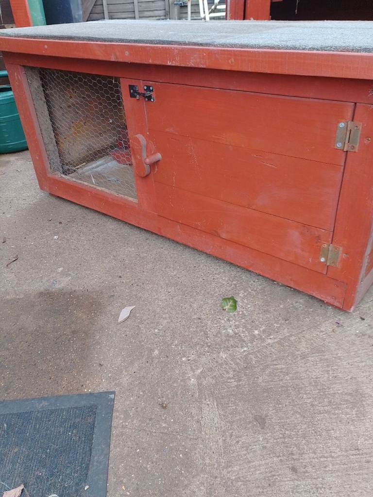 Guinea pig hutch