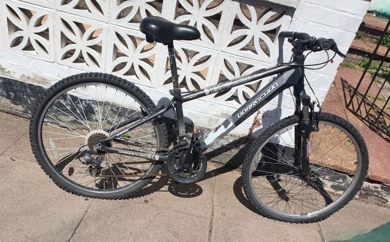Adult Bicycle 🚲 