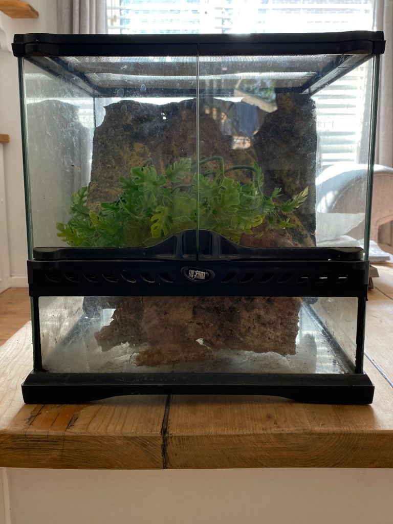 Small reptile tank