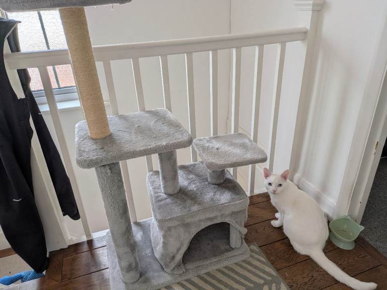Cat tree 