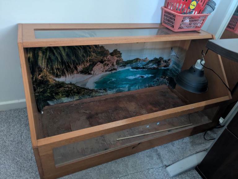 Wooden reptile vivarium with glass front