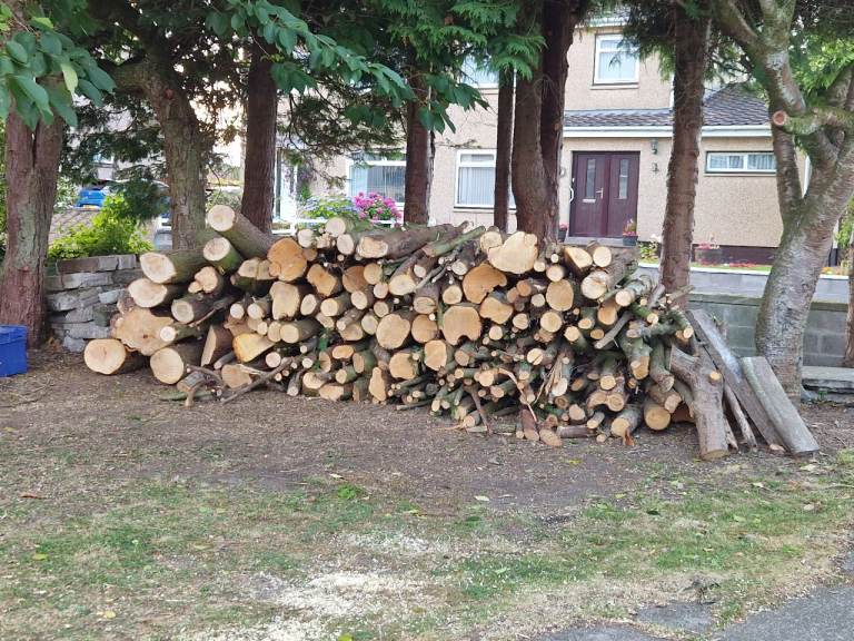 Free wood.