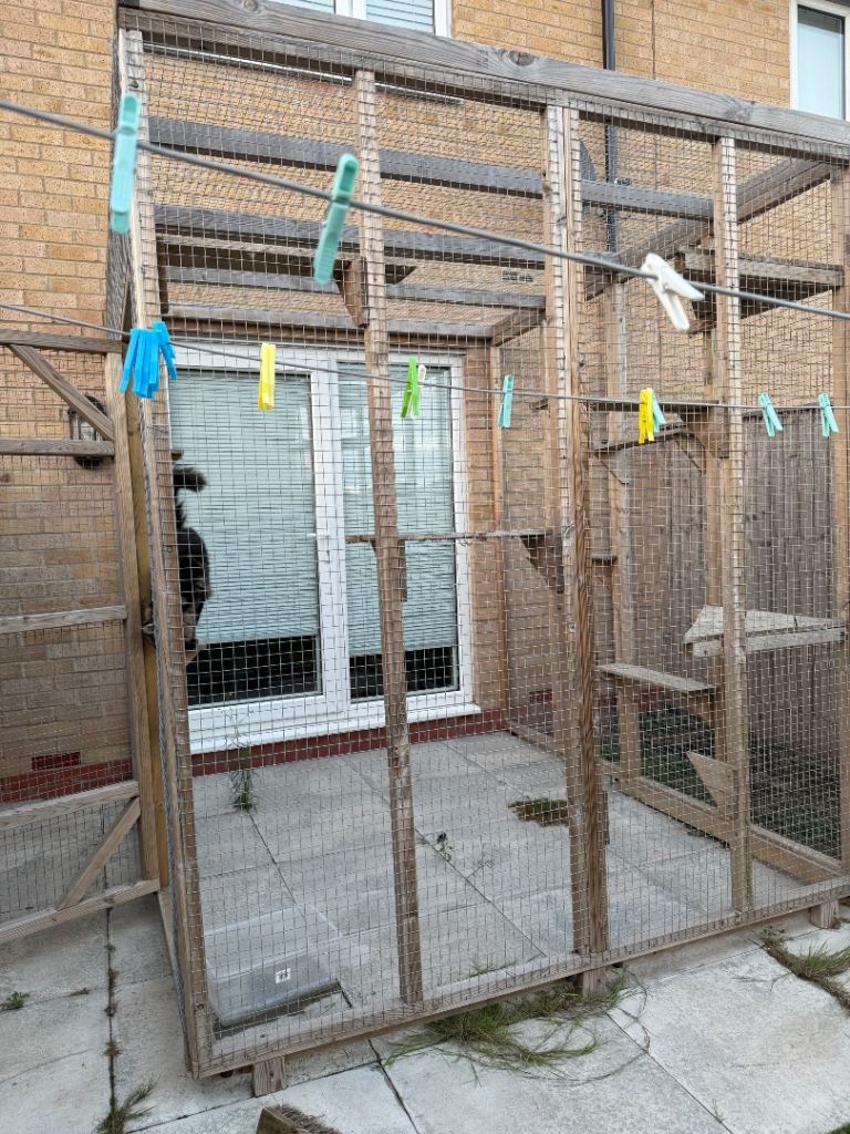 Catio
