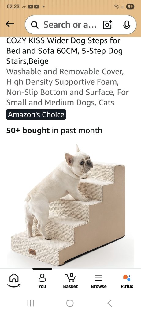 Dog stairs