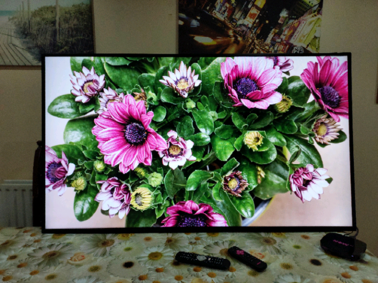 55" Philips D-Line FHD display