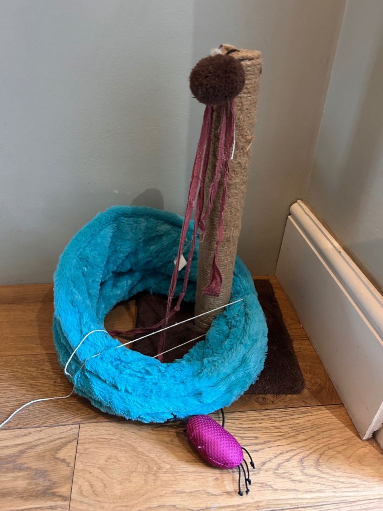 Cat litter pan and toys 