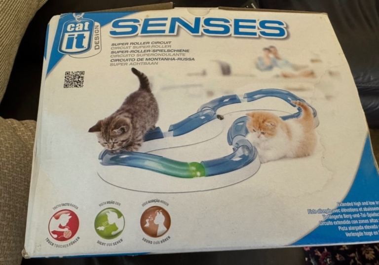 Cat toy - play circuit 