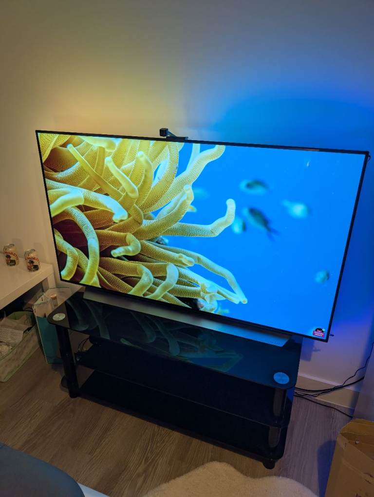 LG Oled cx 55