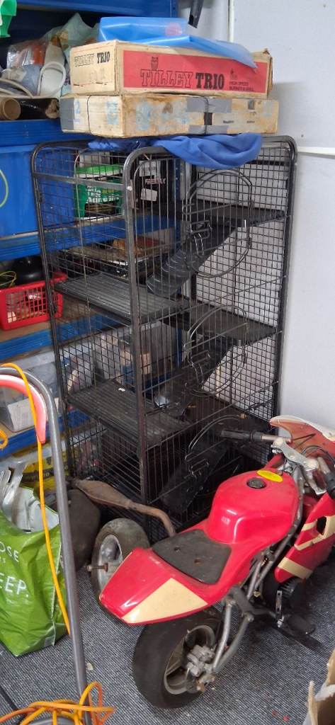 5 level animal cage