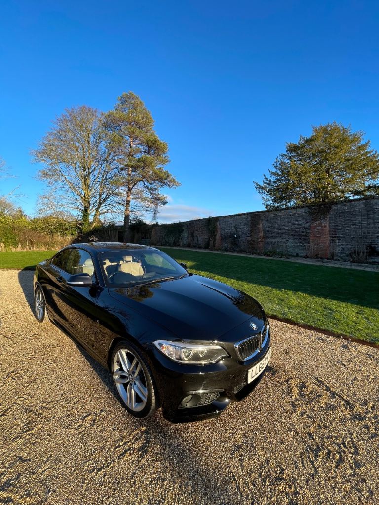 BMW, 2 SERIES, Coupe, 2015, Semi-Auto, 1995 (cc), 2 doors