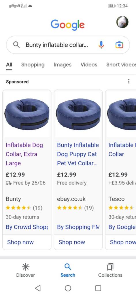 New inflatable buster collars for large breed dogs