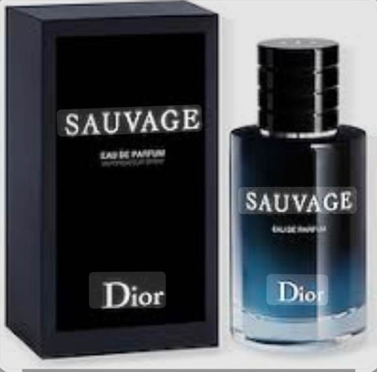 Cristian Dior Sauvage 
