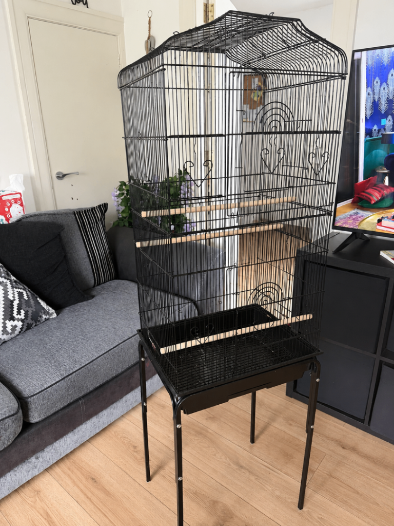 Bird cage 