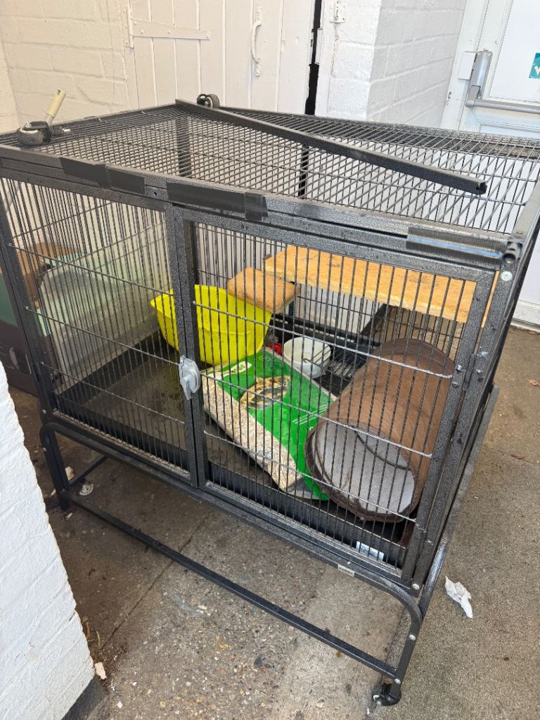 Rat retirement cage-NEED GONE ASAP-run down/for use for old and sick rats or bonding