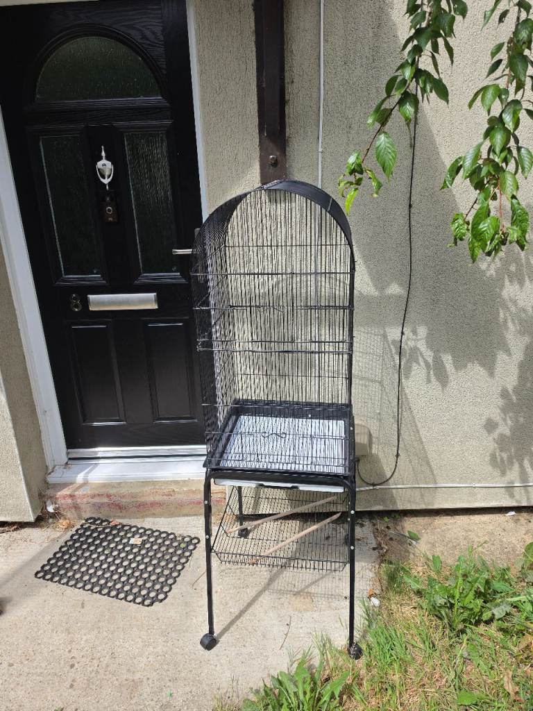 Bird cqge