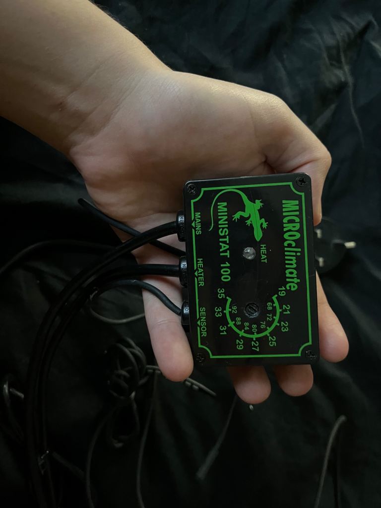 Microclimate thermostat  