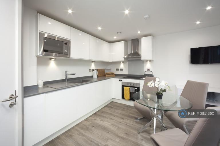 1 bedroom flat in Dudley Street, Luton, LU2 (1 bed) (#2851360)