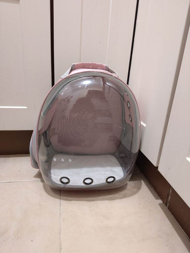 Cat bubble backpack