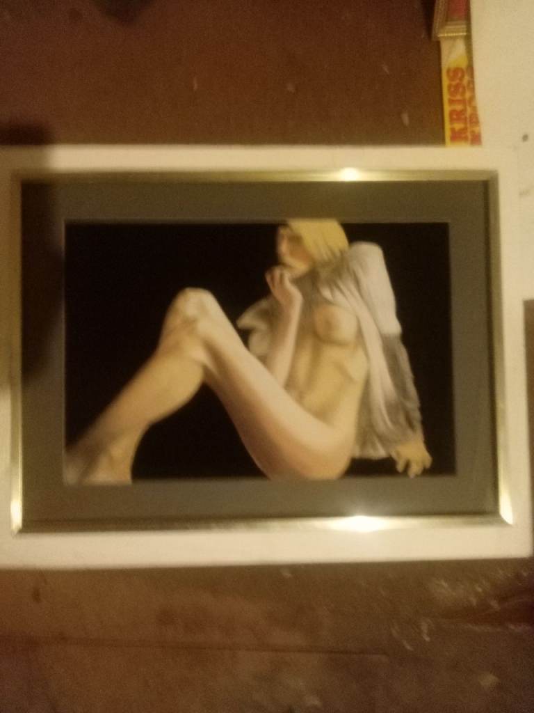 Painting lady