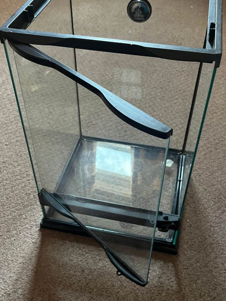 Small Glass Terrarium 