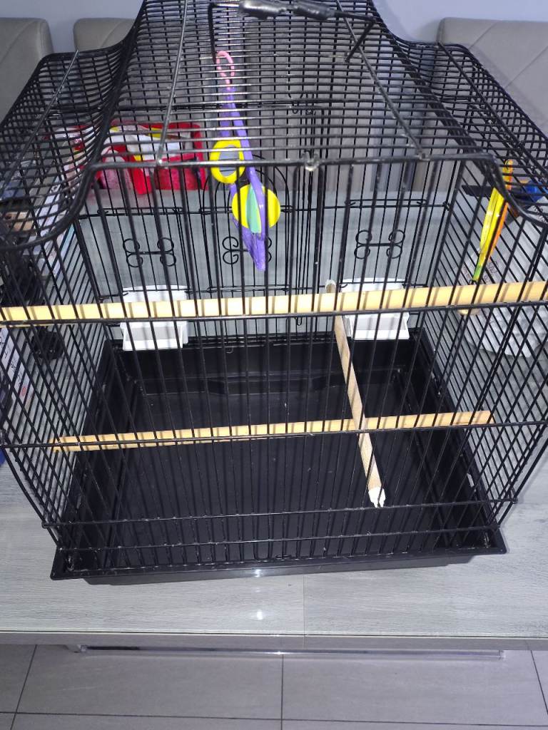 Canary/budgie cage