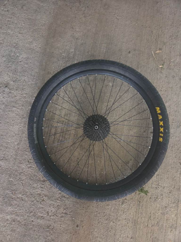 29 inch wheel